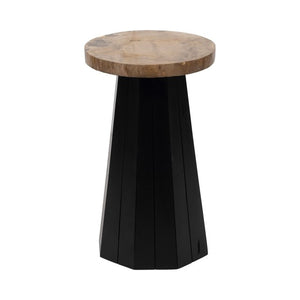 PETRIFIEED WOOD ACCENT TABLE