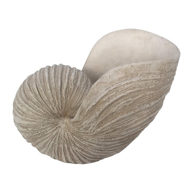 SHELL SCULPTURE IVORY