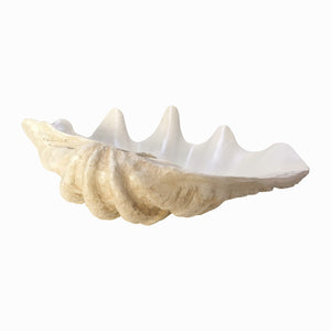 PEARLIZED CLAM SHELL BOWL