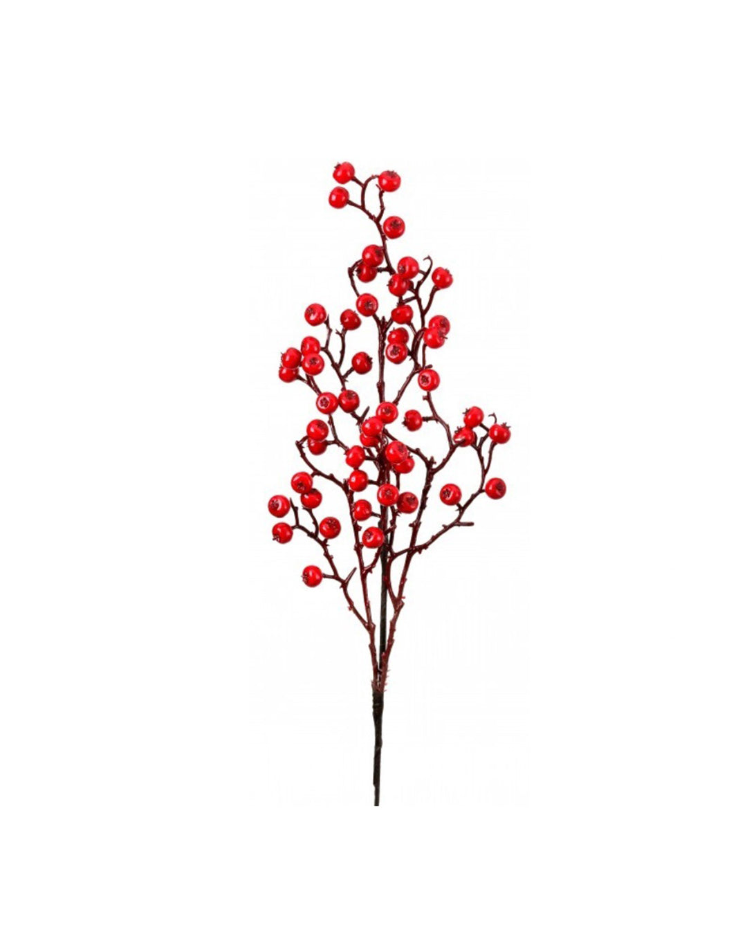 22" WP PROMO BERRY SPRAY