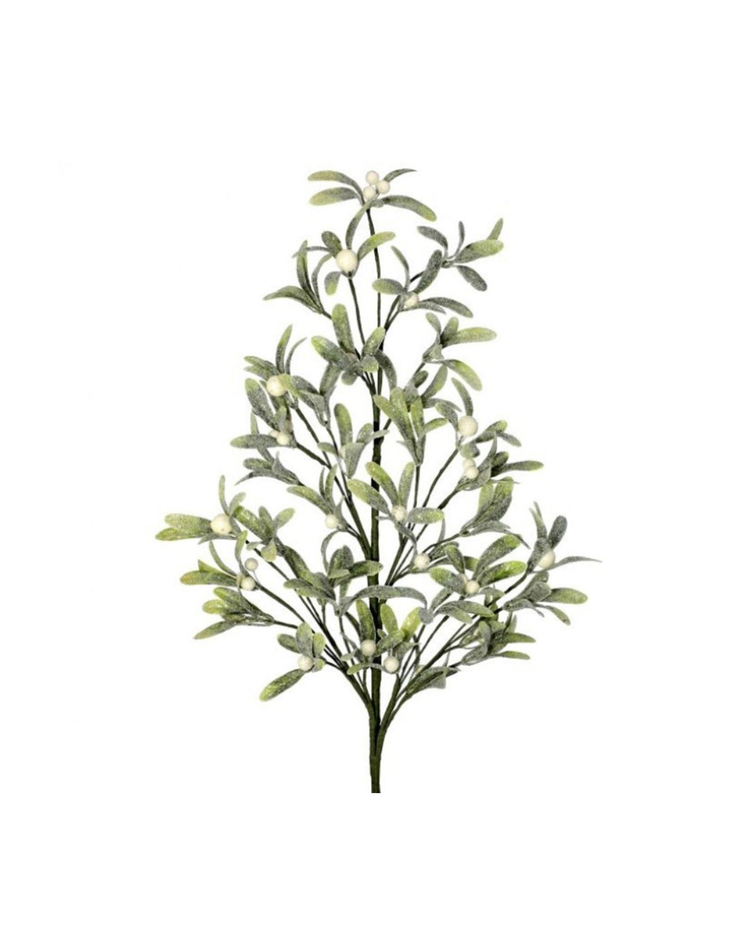36" FROSTED WP MISTLETOE BERRY SPRAY