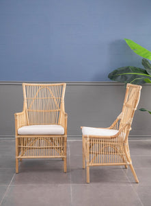 RATTAN CHAIR LOW ARM REST 