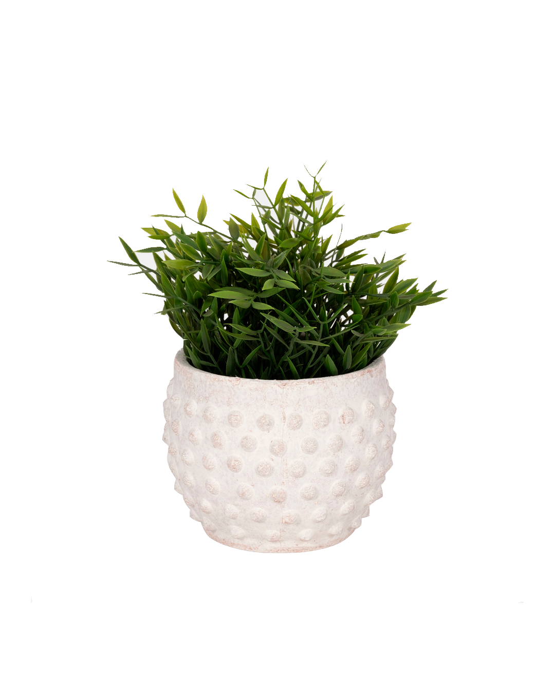 BUBBLE ROUGH PLANTER