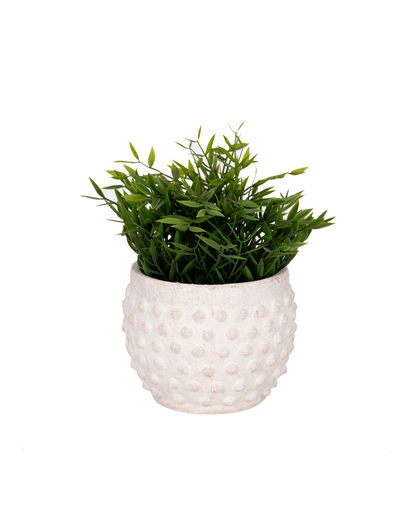 BUBBLE ROUGH PLANTER