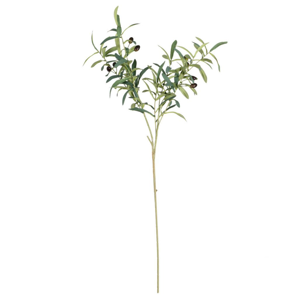 OLIVE LEAF BRANCH,GREEN