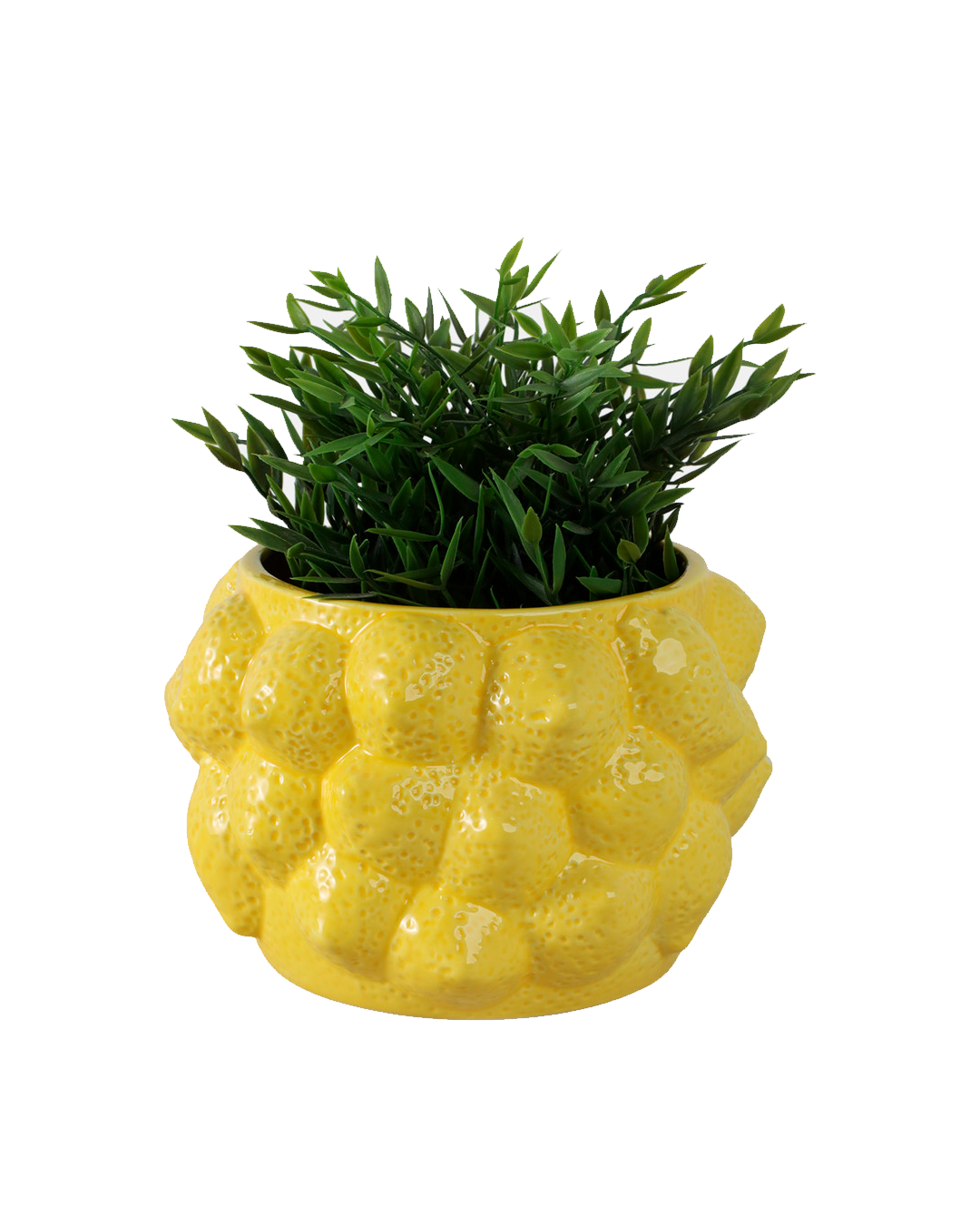 LEMONS FLOWERS POT