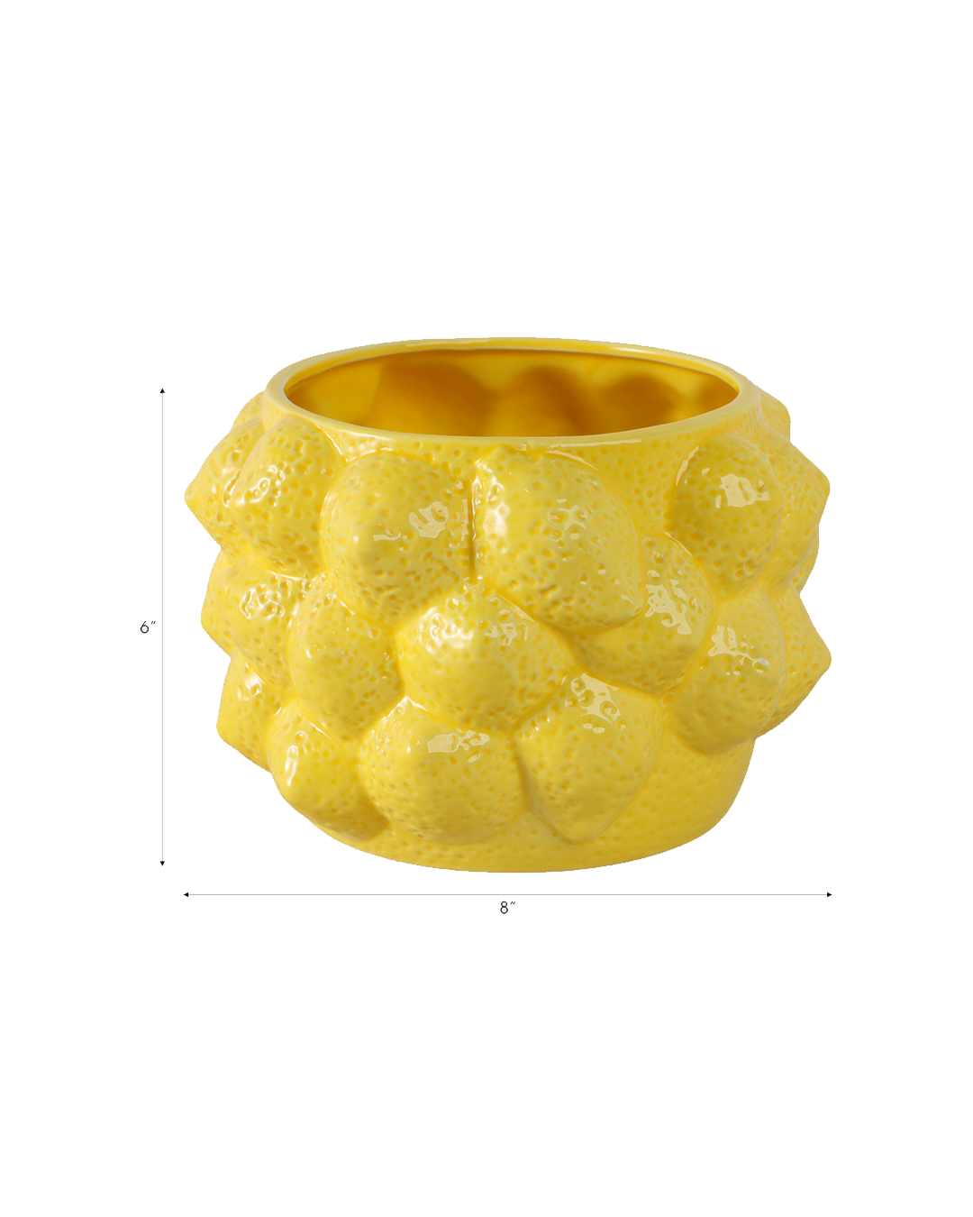 LEMONS FLOWERS POT