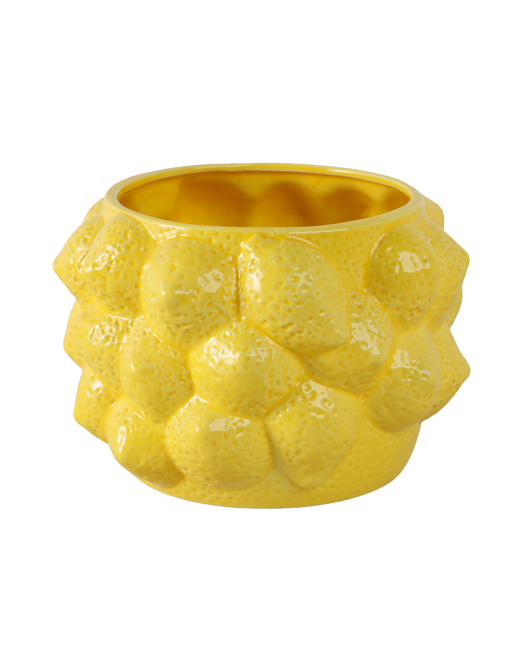LEMONS FLOWERS POT