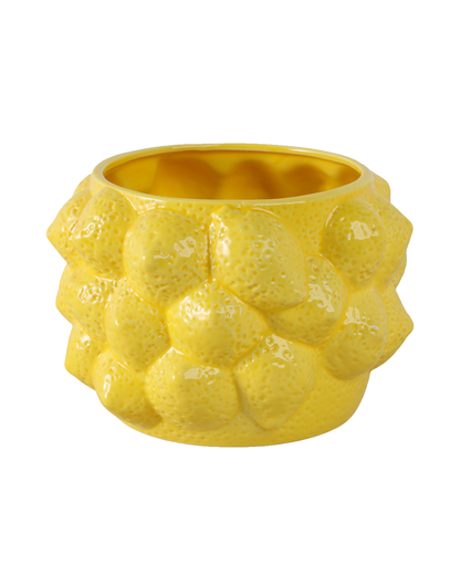 LEMONS FLOWERS POT