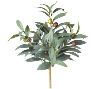 PRUNED OLIVE BUSH 15"