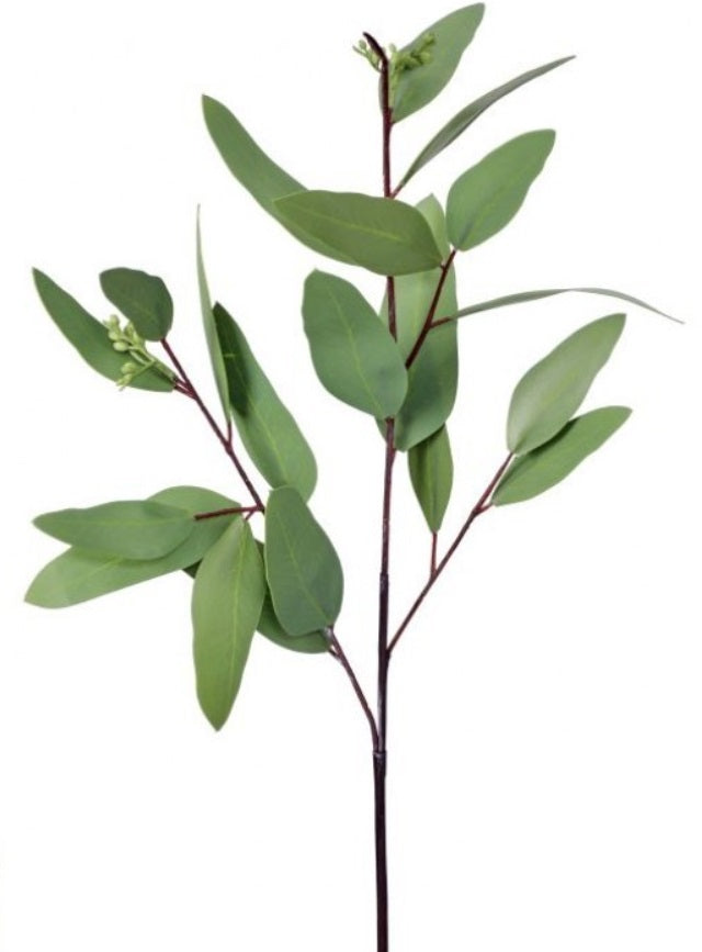 NAT TCH PU LONG LEAF EUCALYPTUS PICK 19"