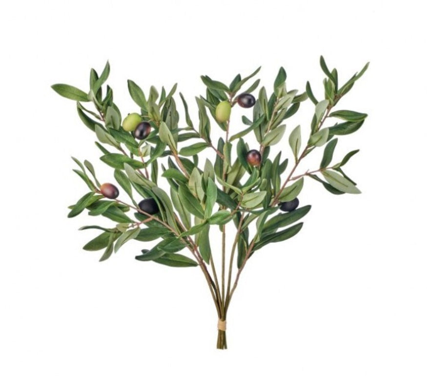 OLIVE LEAF BUNDLE X6  19"