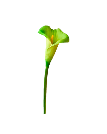 FLOR DE CARTUCHO