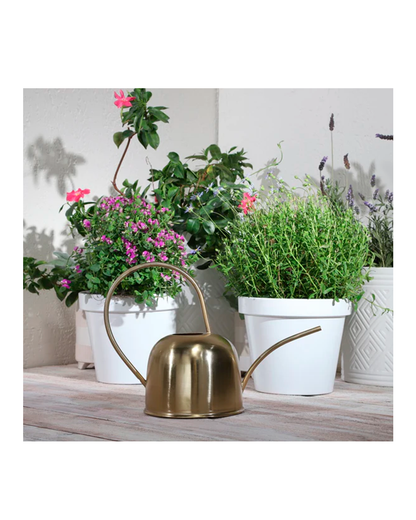 METAL WATERING CAN / -50%