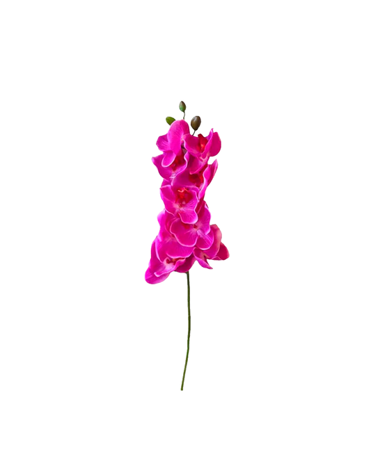 FLOR ORQUIDEA PHALENOPSIS FUSCIA