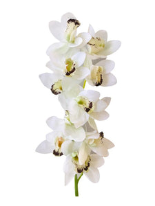 FLOR ORQUIDEA CYMBIDUM BLANCA