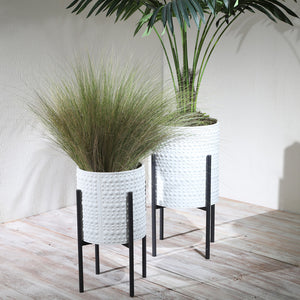 DOTTED PLANTER IN METAL STAND