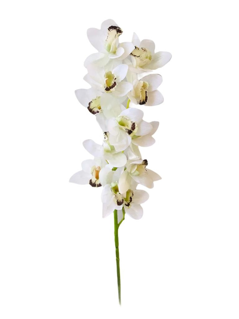 FLOR ORQUIDEA CYMBIDUM BLANCA