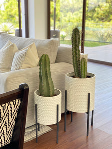 DOTTED PLANTER IN METAL STAND
